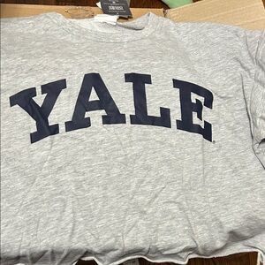 Gray Yale crop top size L XL or 2X